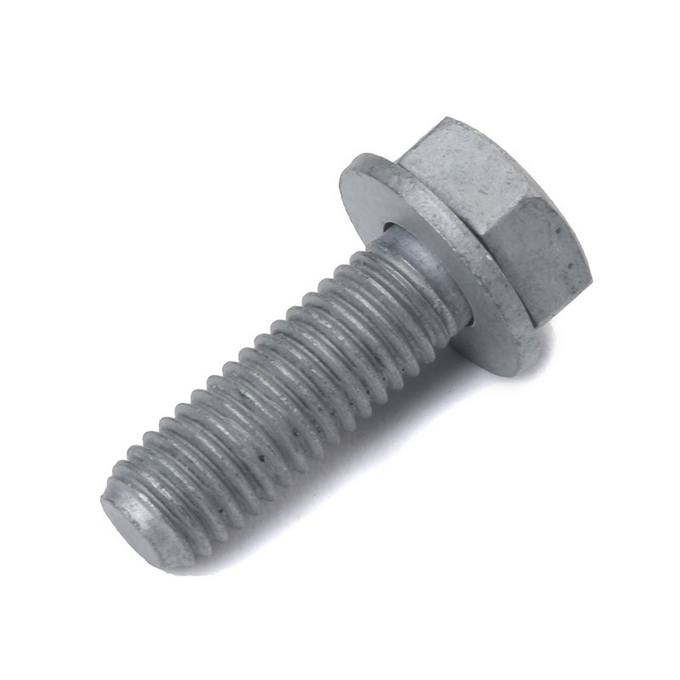 BMW Mini Hex Bolt (w/ Washer) (M8x25) 07119904793